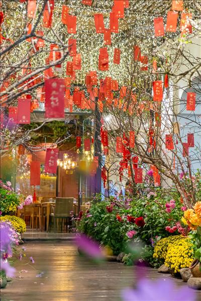 Khu vườn mùa Xuân giữa lòng Hà Nội