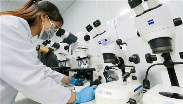 ホーチミン市、経済のけん引役として2026年の加速へ弾み