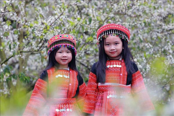 매화 향기 가득한 선라 목쩌우 고원, 관광객들에 손짓