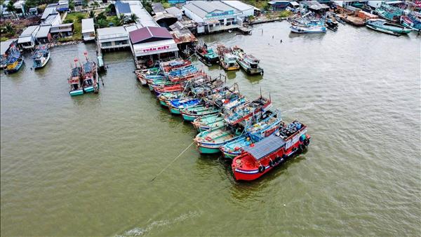 Fishermen Enjoy Bumper Catch on Year-End Fishing Trip