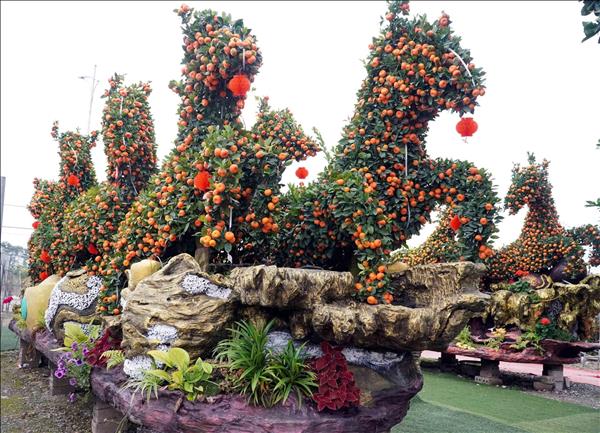 Siêu phẩm quýt cổ chu sa tạo hình Mã đáo thành công