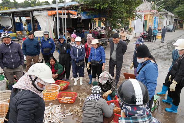 Cảng cá, bến cá tuyên truyền phòng chống rét cho ngư dân