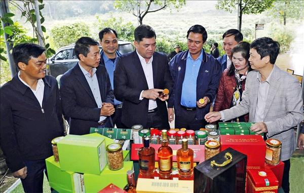 Đưa Nghị quyết thành kết quả: Bắc Ninh xác định tập trung vào 3 đột phá chính