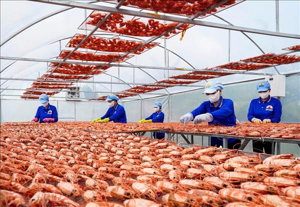 Làng nghề vùng biển Cà Mau nhộn nhịp vào mùa sản xuất Tết