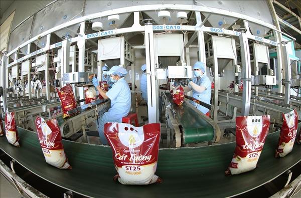 Việt Nam dự kiến xuất khẩu hơn 7,7 triệu tấn gạo năm 2026