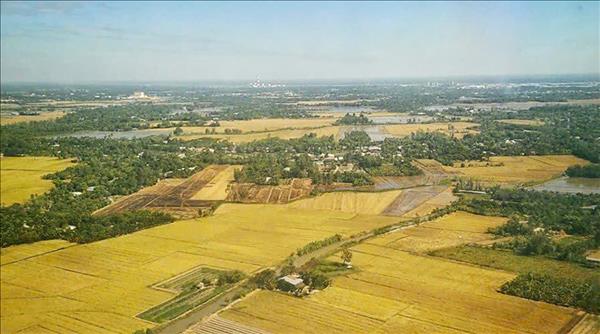 메콩강 삼각주 지역 기업 공동체에 새로운 활력을 불어넣는 제13기 당 정치국의 제68호 결의