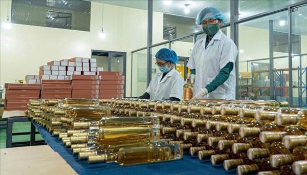 Résolution 68-NQ/TW : les femmes entrepreneures élargissent lespace de développement