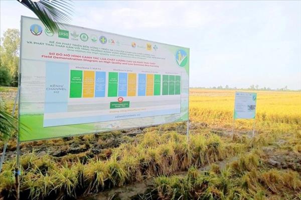 ເພີ່ມ​ກຳ​ລັງ​ໜູນ​ໃຫ້​ແກ່​ປະ​ຊາ​ຄົມ​ວິ​ສາ​ຫະ​ກິດ​ເຂດ​ທົ່ງ​ພຽງ​ແມ່​ນ້ຳ​ຂອງ​ທາງ​ພາກ​ໃຕ້ ຫວຽດ​ນາມ