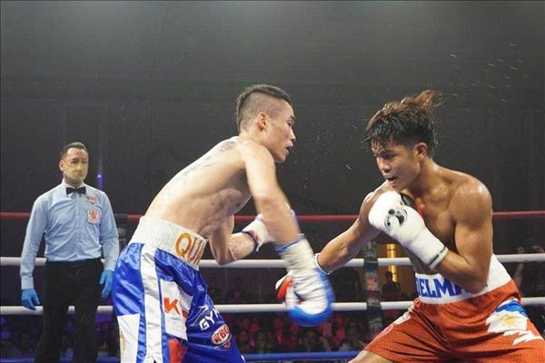 Việt Nam lần đầu đăng cai Hội nghị thường niên Liên đoàn Quyền anh quốc tế