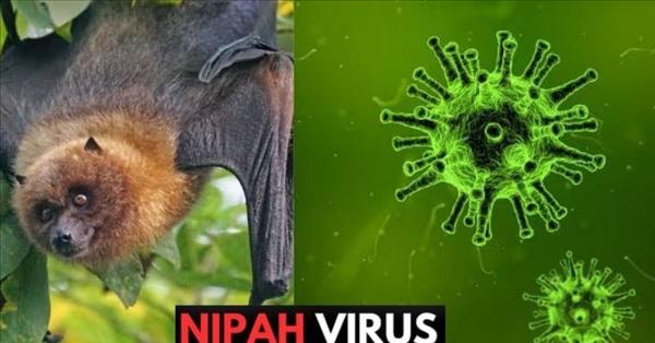 Health sector steps up preparedness against Nipah virus disease