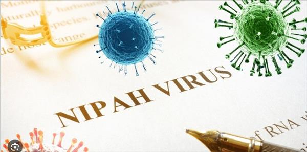 Virus Nipah en Inde : le Vietnam renforce la prévention dès les postes-frontières