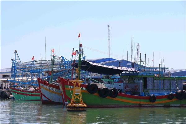 Lam Dong steps up fishing vessel management to address IUU fishing