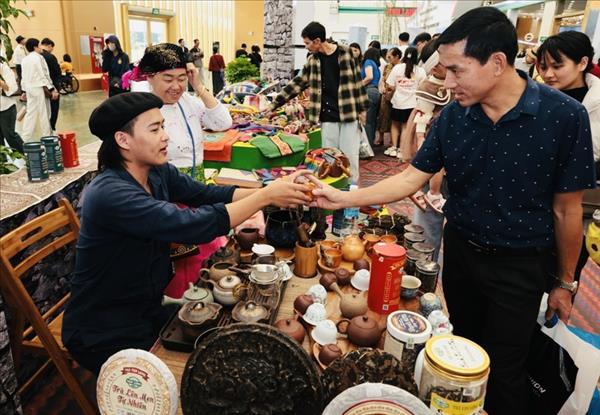 2026年首届春季博览会：加紧完善各项筹备工作