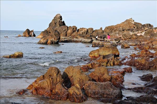 Hội đồng Lữ hành và Du lịch Thế giới cam kết đồng hành cùng Việt Nam