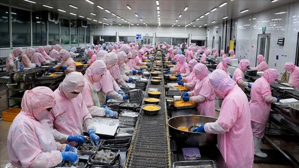 Экспорт морепродуктов Вьетнама в США достиг 53,15 млн долл.