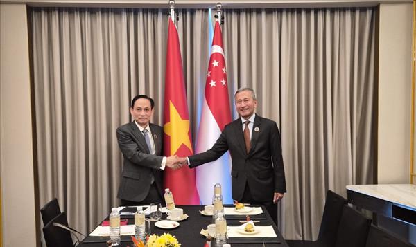 越南外长黎怀忠与新加坡、东帝汶等国外长会晤