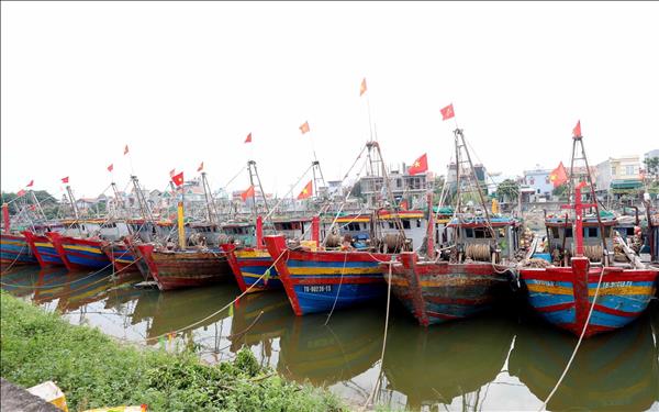 럼동성, 자격 미달 어선에 대한 관리·감독 대폭 강화…IUU 규제 이행 박차