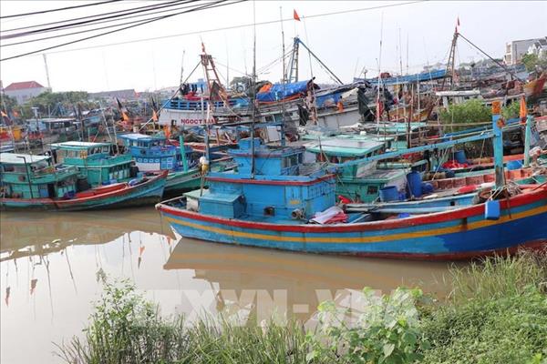 Ho Chi Minh City moves swiftly to finalise IUU fishing cases