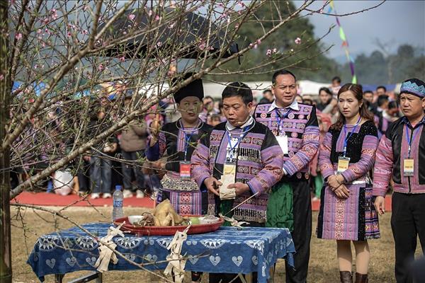 Rộn ràng hội Gầu Tào của đồng bào Mông ở Pà Cò