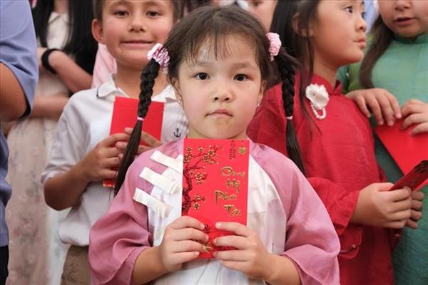 在柬埔寨越南留学生及在南非越侨喜迎2026丙午新春