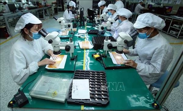 Exportaciones de Vietnam cobran impulso gracias a la recuperación productiva