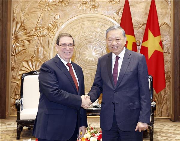 苏林总书记会见古巴党和国家特使布鲁诺·罗德里格斯·帕里利亚