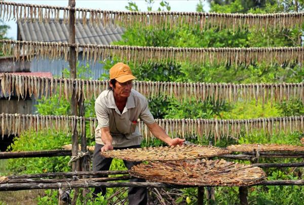 ភូមិរបរប្របមាត់សមុទ្រខេត្ត កាម៉ៅ អ៊ូអរឈានចូលរដូវចូលឆ្នាំវៀតណាម