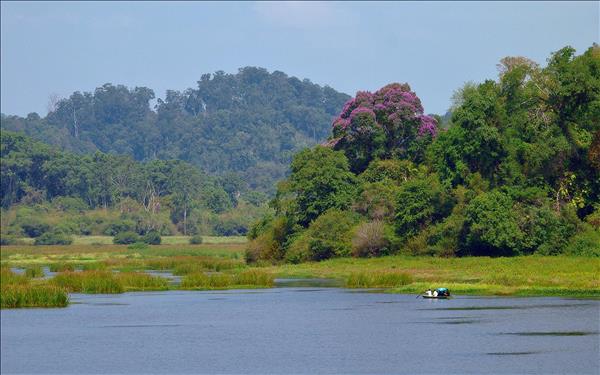 Việt Nam hoang dã - vẻ đẹp bí ẩn của thiên nhiên hồi sinh