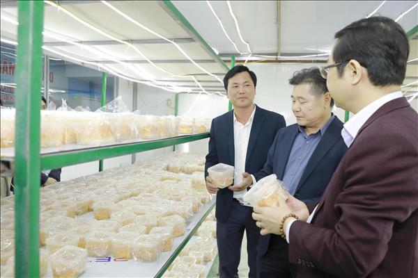 Phú Thọ phát triển mô hình sản xuất OCOP gắn với chuỗi liên kết tiêu thụ