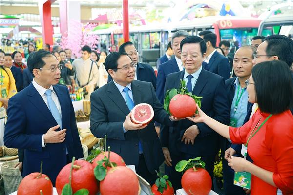 Spring Fair 2026 opens market opportunities for private firms, household businesses
