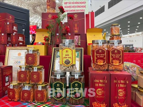 Cooperativas presentan productos farmacéuticos OCOP en Feria de Primavera 2026