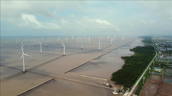 Bouclier vert côtier : succès et défis du projet 2021-2030