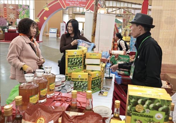 Hội chợ Mùa Xuân lần thứ nhất năm 2026: Những tiện ích đặc biệt