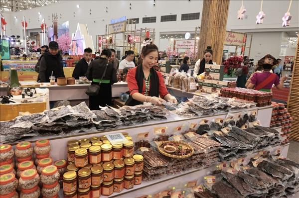 Spring Fair 2026 becomes key platform for trade promotion