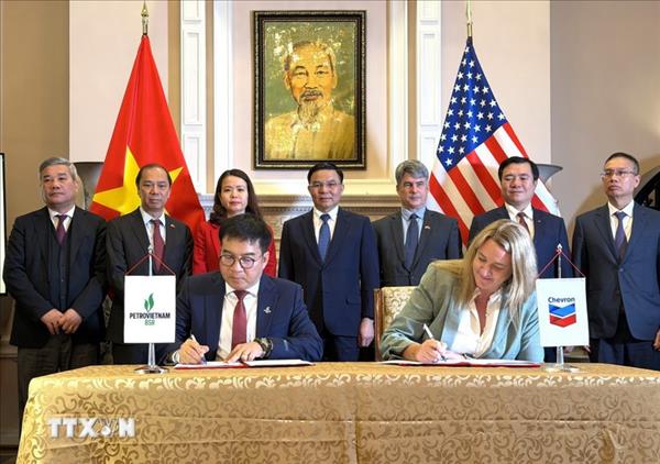 越美促进稳定、可持续的经贸合作