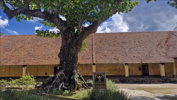 ពន្ធនាគារ Con Dao៖ វីរចម្រៀងអំពីឆន្ទៈវៀតណាម