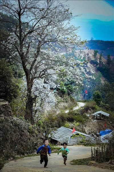 少数民族地区和山区新农村建设国家目标计划第一阶段（2026-2030年）获批