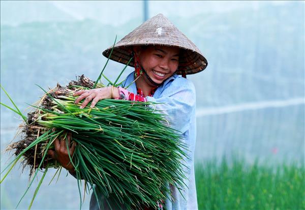 Xuất khẩu nông, lâm, thủy sản tháng 1 tăng gần 30%