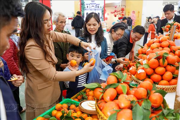 Hội chợ Mùa Xuân 2026: Sức hấp dẫn của sản vật vùng miền làm nóng bầu không khí mua sắm Tết Bính Ngọ