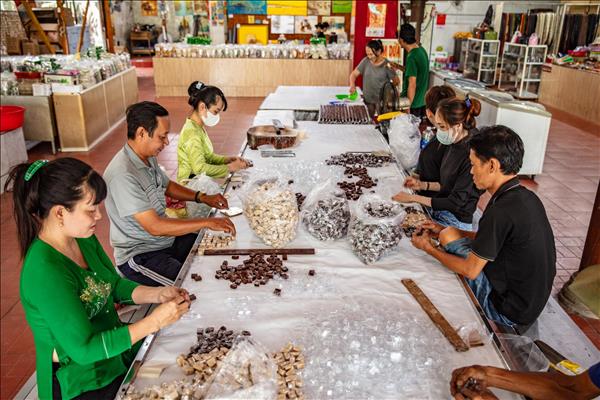 Nghề làm kẹo dừa thủ công kết hợp du lịch làng nghề ở Bến Tre