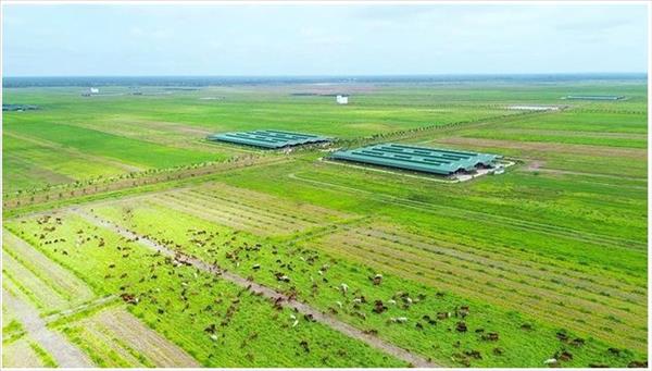 Lao, Cambodian markets gain growing strategic importance for Vietnam