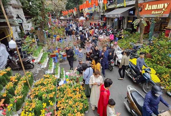 2026 병오년 새해맞이 하노이 구시가지, 설맞이 꽃시장 ‘진풍경