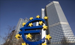 ＥＣＢ、域外中銀向け流動性供給制度の拡充検討　ユーロ国際化推進で＝関係者
