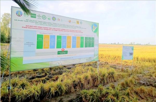 メコンデルタ地域の企業コミュニティに活力を