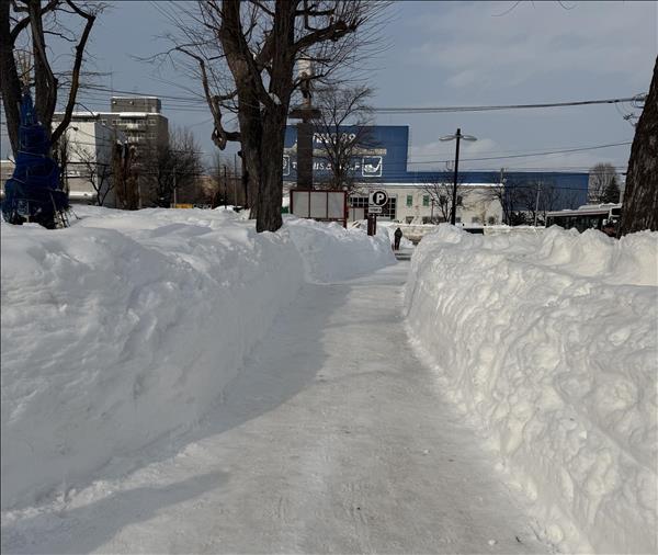 Nhật Bản hứng chịu đợt rét đậm đúng ngày bầu cử Hạ viện