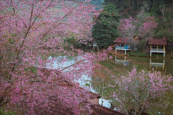 망댄 고산지대, 국가 통일 4·30 연휴 맞아 관광객 발길 이어져
