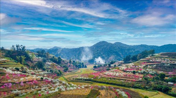 Lễ hội Hoa Đào xứ Lạng: Thêm điểm đến du Xuân mới 2026 cho du khách