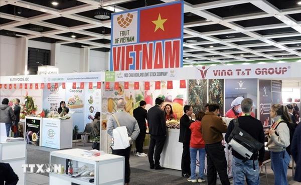 Vietnamese businesses seek opportunities to expand markets at Fruit Logistica 2026