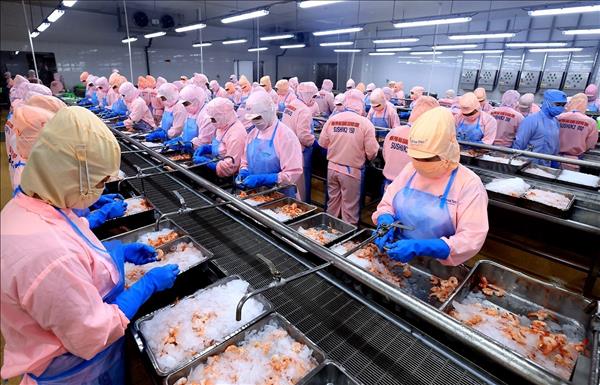 2026 GRDP growth targets for provinces and municipalities