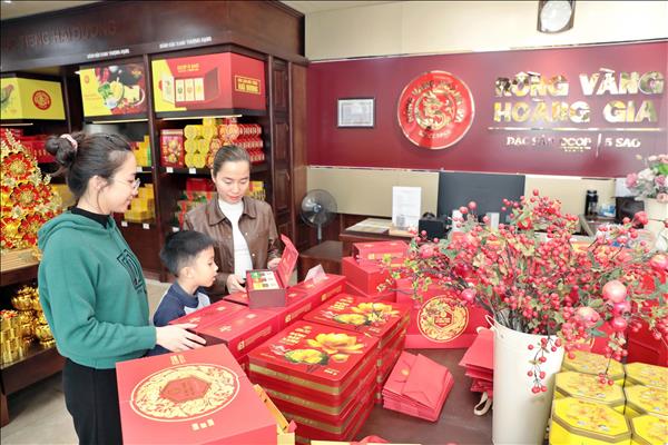  Rồng Vàng Hoàng Gia - Tinh hoa xứ Đông vươn biển lớn